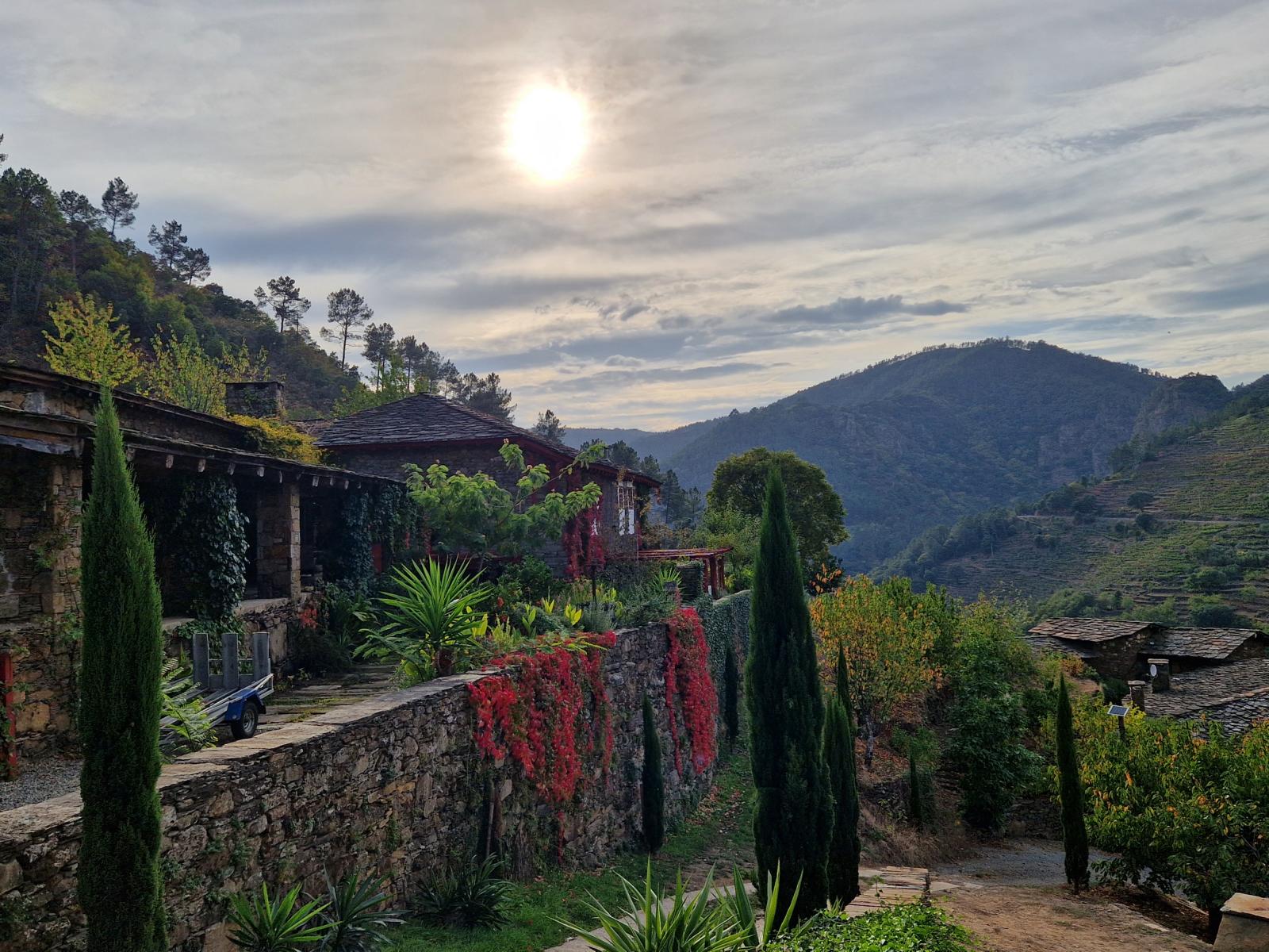 Weingüter besichtigen