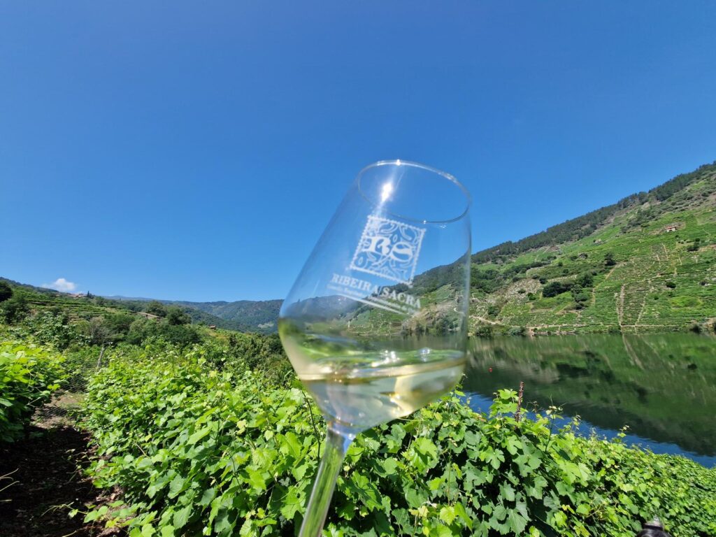 Ein Weinglas in den Weinbergen, im Hintergrund ein Fluss